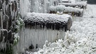 Zugefrorene Baumstämme mit langen Eiszapfen | Bild: dpa-Bildfunk/Harald Tittel