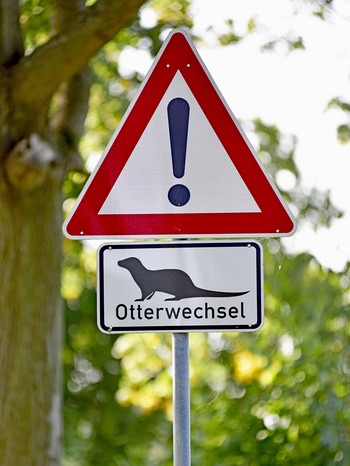 Ein Straßenschild "Achtung Otterwechsel" steht auf der deutschen Insel Usedom. | Bild: picture-alliance/dpa
