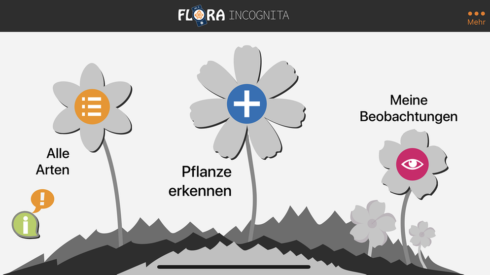 App "Flora incognita". | Bild: BR/Simone Wichert