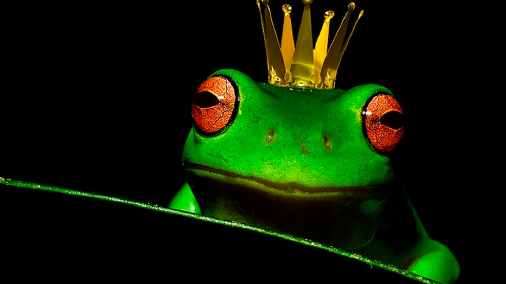 Ein knallgrüner Frosch mit roten Augen und einer Krone auf dem Kopf. | Bild: picture-alliance/dpa