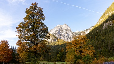 Herbstlandschaft im Nationalpark Berchtesgaden. | Bild: BR/Sylvia Bentele