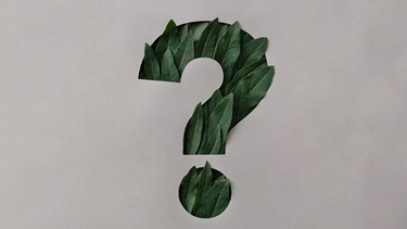 Fragezeichen aus grünen Blättern, für "Do Re Mikro - Das Geheimnis" | Bild: dpa-Bildfunk