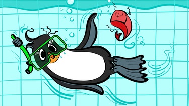 Pinguin Pudding taucht im Pool | Bild: BR | Tanja Begovic
