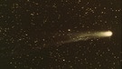 Der Halley'sche Komet | Bild: picture alliance / Photoshot