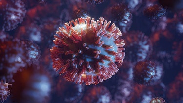 Symbolbild: Virus | Bild: colourbox.com