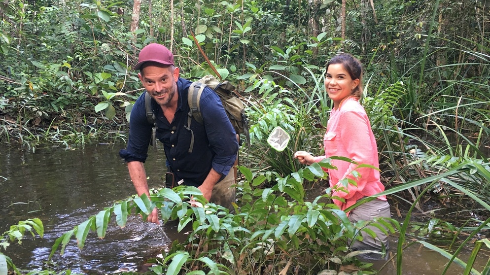 Anna ist auf der Suche nach tropischen Fröschen. Mit Froschexperte André ist sie dabei in einem Sumpf auf der Insel Sumatra gelandet. | Bild: BR/TEXT + BILD Medienproduktion GmbH & Co. KG/