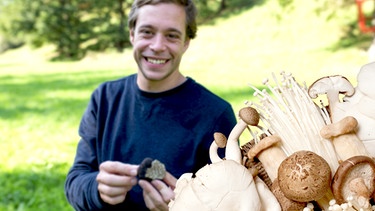 Checker Tobi und im Vordergrund ein paar Pilze | Bild: megaherz, Collage Tanja Begovic