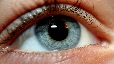 Ein menschliches Auge mit der Augenfarbe "blau". | Bild: colourbox.com