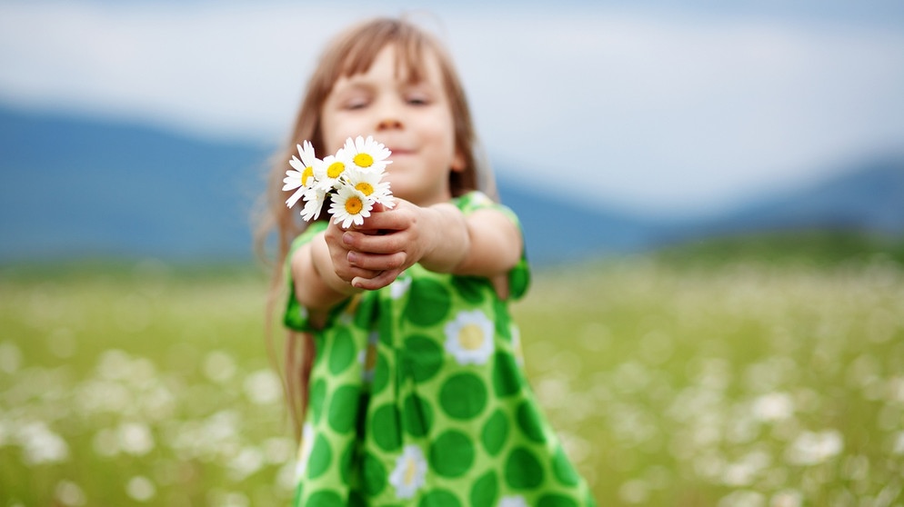 Ein Kind steht in einer Blumenwiese und streckt einen kleinen Blumenstrauß aus Margeriten in die Kamera. | Bild: colourbox.com