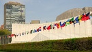Verschieden Flaggen der Vereinten Nationen vor dem UN-Hauptquartier in New York | Bild: colourbox.com