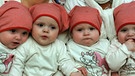 Die eineiigen Vierlinge von Leipzig wurden im Januar 2012 geboren. Eineiige Vierlinge kommen nach Schätzungen nicht häufiger als einmal unter 13 Millionen Geburten vor. | Bild: picture-alliance/dpa