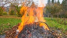 Ein Feuer aus Reisig und trockenen Blättern brennt auf einer Wiese. | Bild: colourbox.com