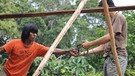 Hüttenbau in Costa Rica: Der Dachfirst wird aufgestellt. | Bild: Ocean College