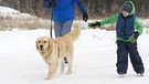 Familie mit Golden Retriever beim Schlittschuhlaufen | Bild: picture-alliance/dpa