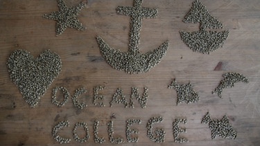 Eindrücke vom Besuch des Ocean College auf einer Kaffeefarm in Costa Rica. Mit Kaffeebohnen lassen sich auch hübsche Muster legen. | Bild: Ocean College