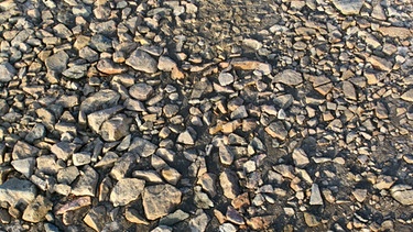 Viele unterschiedlich große Steine liegen auf der Erde. | Bild: colourbox.com