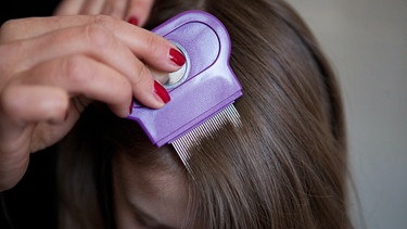 Kopfläuse werden mit Kamm rausgebürstet | Bild: picture-alliance/dpa