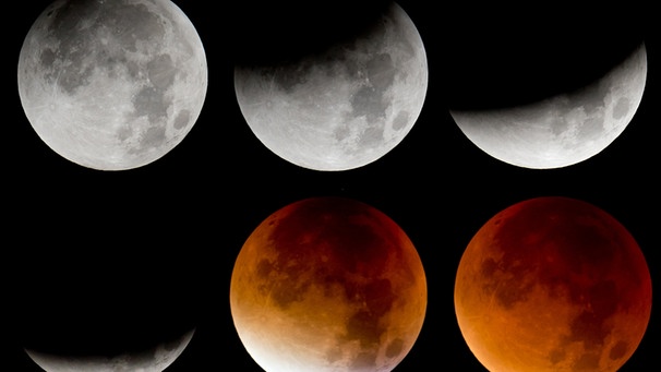 Die Bildzusammenstellung zeigt von links oben nach rechts unten die verschiedenen Phasen einer totalen Mondfinsternis. Aufgenommen bei der Mondfinsternis am 28.09.201 in München. | Bild: dpa-Bildfunk/Sven Hoppe