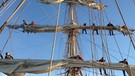 Der Mast der Pelican of London ist 25 Meter hoch. | Bild: Ocean College