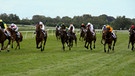 Jockeys auf ihren Pferden bei einem Pferderennen. | Bild: colourbox.com