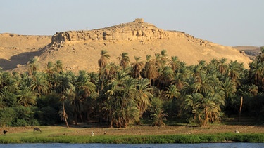 Nil und Wüste von Ägypten | Bild: colourbox.com