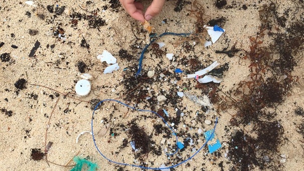 Das Thema Plastikmüll begleitet das Ocean College auf ihrer Reise. Auf Bermuda gab es jetzt einen Beach-Clean-up, also eine Aufräumaktion am Strand. Im Sand finden sich viele kleine Plastikteile. | Bild: Ocean College