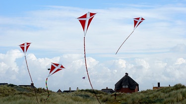 Vor einer Dünenlandschaft in der Nähe des Meeres schweben mehrere Lenkdrachen in der Luft. | Bild: colourbox.com