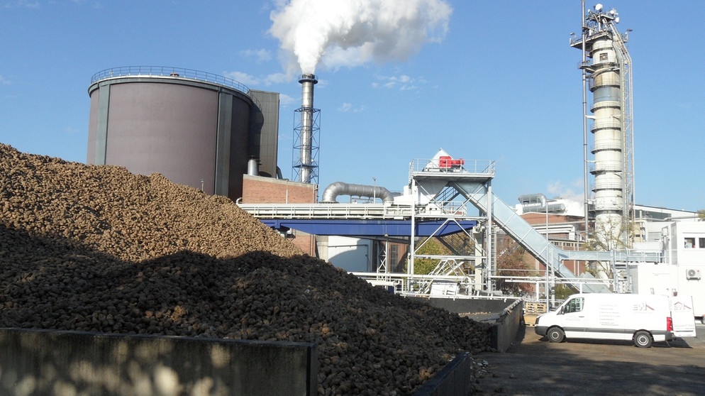 Blick auf die Zuckerfabrik in Lage in Nordrhein-Westfalen. Ein Berg an Zuckerrüben muss noch verarbeitet werden. | Bild: BR / Kristina Hafer
