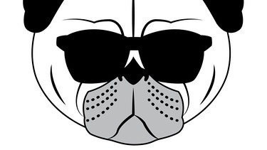 Eine Schwarz-Weiß-Zeichnung eines Hundekopfes, der eine Sonnenbrille trägt. | Bild: colourbox.com