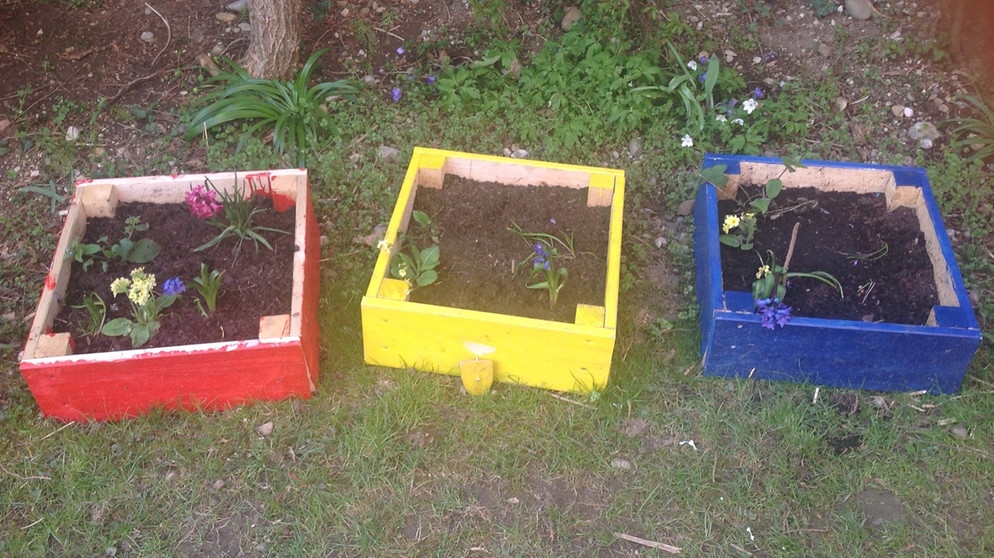 Ein Beet bauen, anmalen und bepflanzen - Tipp von Linus | Bild: privat