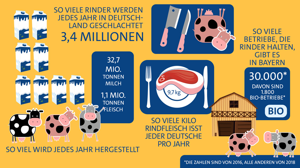 Infografik: Kühe essen - Milch trinken | Bild: colourbox.com; Montage: BR