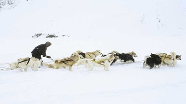 Inuit mit Hundeschlitten | Bild: picture-alliance/dpa