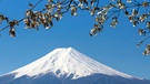 Blick auf den Berg Fuji in Japan | Bild: colourbox.com