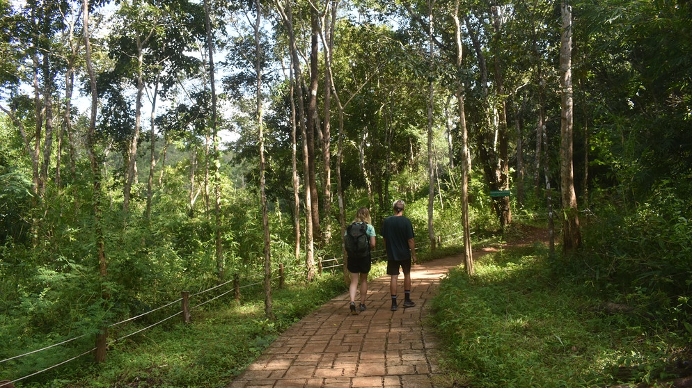 Rebecca und Bosse auf Dschungeltour in Kambodscha | Bild: Katrin Waldenburg