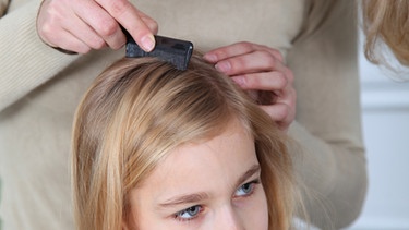 Auf der Suche nach Läusen kämmt eine Frau einem Mädchen mit kritischen Blick die Haare. | Bild: colourbox.com