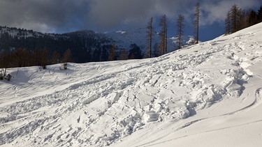 Ein großes Schneebrett auf dem Maiensäss Pradardua im Churer Rheintal (Schweiz). Aufnahme aus dem Jahr 2012. | Bild: picture alliance/KEYSTONE