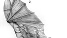 Leonardo da Vinci - Flugmaschine | Bild: picture-alliance/dpa