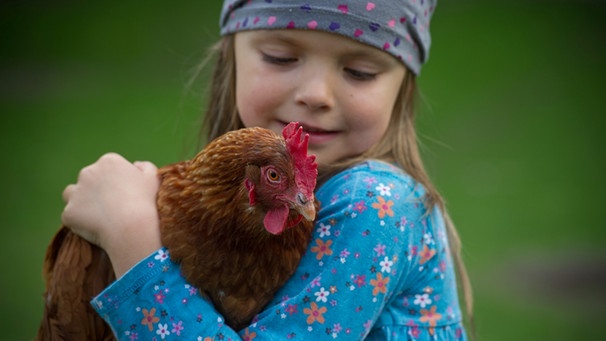 Ein Mädchen hält ein Huhn im Arm. | Bild: picture-alliance/ZB
