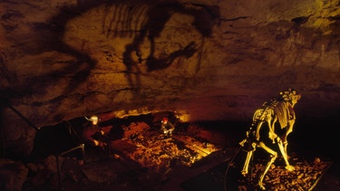 Naracoorte Höhle in Australien | Bild: picture-alliance/dpa