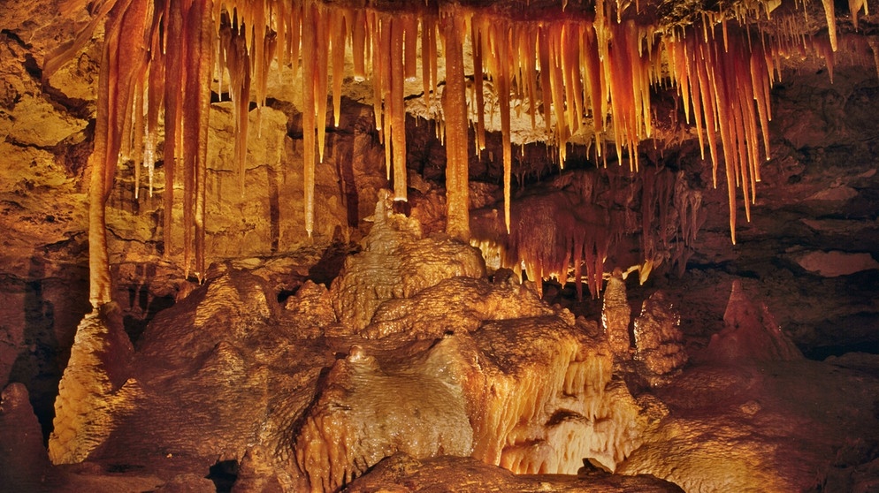 Naracoorte Höhle in Australien | Bild: picture-alliance/dpa