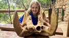 Die Zähne von Flusspferden können 50 Zentimeter lang werden. Im Kampf gegen Artgenossen und Feinde sind sie eine gefährliche Waffe. | Bild: BR/Text und Bild Medienproduktion GmbH & Co. KG/Ben Wolter