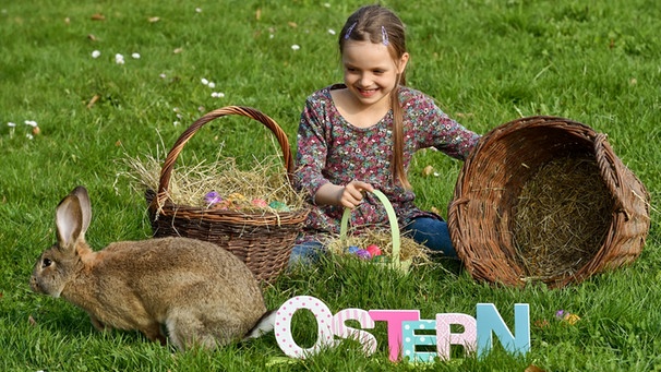 Ein Mädchen sitzt mit Osterhase und Ostereiern auf einer Wiese. | Bild: picture-alliance/dpa
