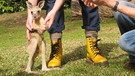 Hüpfen wie ein Känguru | Kleines Känguru vor Paulas Beinen | Bild: BR | Text und Bild Medienproduktion GmbH & Co. KG