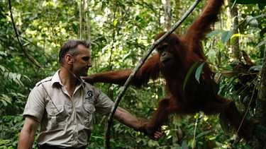 Peter Pratje und ein Orang Utan im Urwald von Indonesien. | Bild: Guthier | FZS (Zoologische Gesellschaft Frankfurt)
