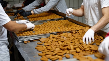Mitarbeiter legen im Dezember 2023 in der Aachener Bäckerei "Nobis Printen" das Gebäck auf ein Blech.  | Bild: dpa-Bildfunk/Henning Kaiser