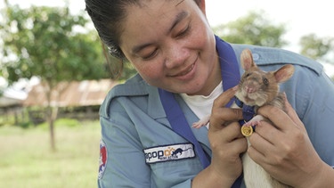 Die Hero-Rat Magawa aus Kambodscha mit einer Mitarbeiterin der belgischen Organisation Apopo, die die Ratten für die Minensuche ausbildet. | Bild: picture alliance / Photoshot | -