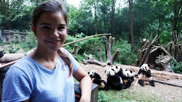 Wie angelt man sich einen Großen Panda? | Anna in der Aufzuchtstation bei den Panda-Babys | Bild: BR | textundbild medienproduktion