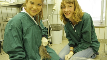 Wer lässt die Maus raus? | Anna hilft der Biologin Annika bei einem Experiment mit Mäusen.  | Bild: BR | Text und Bild Medienproduktion GmbH & Co. KG