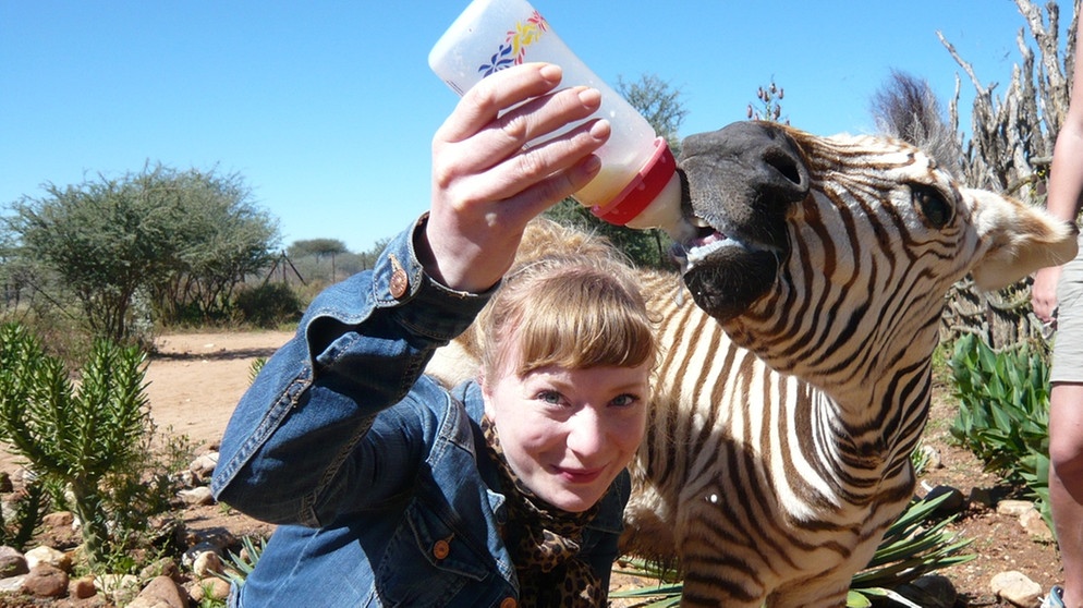 Eine Herde für Zebra Benny / Paula füttert das Zebra. | Bild: BR | Text und Bild Medienproduktion GmbH & Co. KG | Christiane Streckfuß