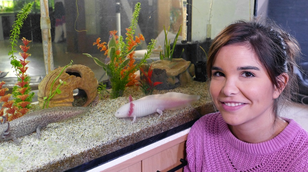 Axolotl | Anna (Annika Preil) vor einem Axolotl Aquarium | Bild: BR | text- und bild medienproduktion GmbH & Co KG